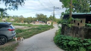 simala 1sibonga pic of the highway from the entrance