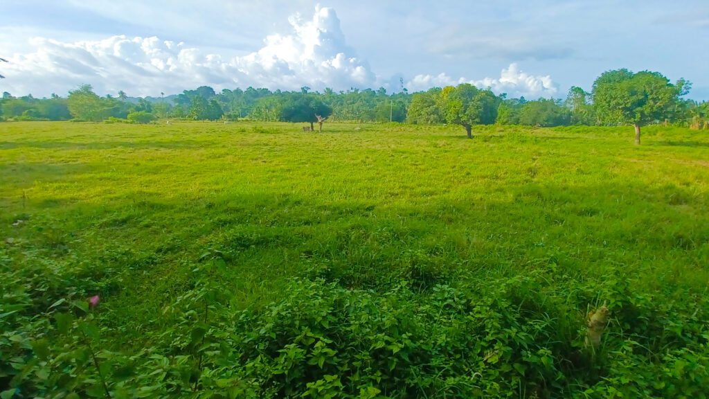 simala flat enhanced