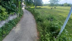 simala sibonga pic 6