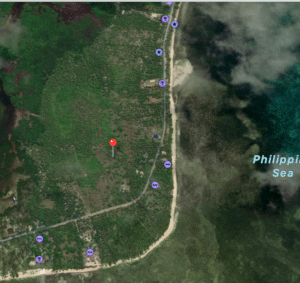 screenshot 2025 09 15 at 8.24.46 am