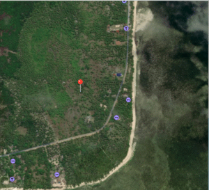 screenshot 2025 09 15 at 8.25.07 am