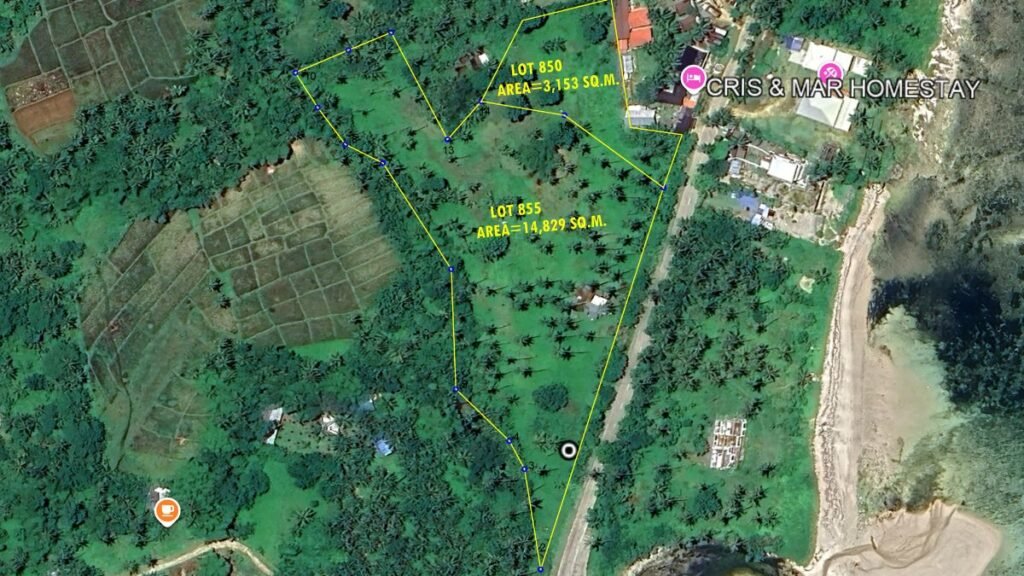 burgos grande dessarollo