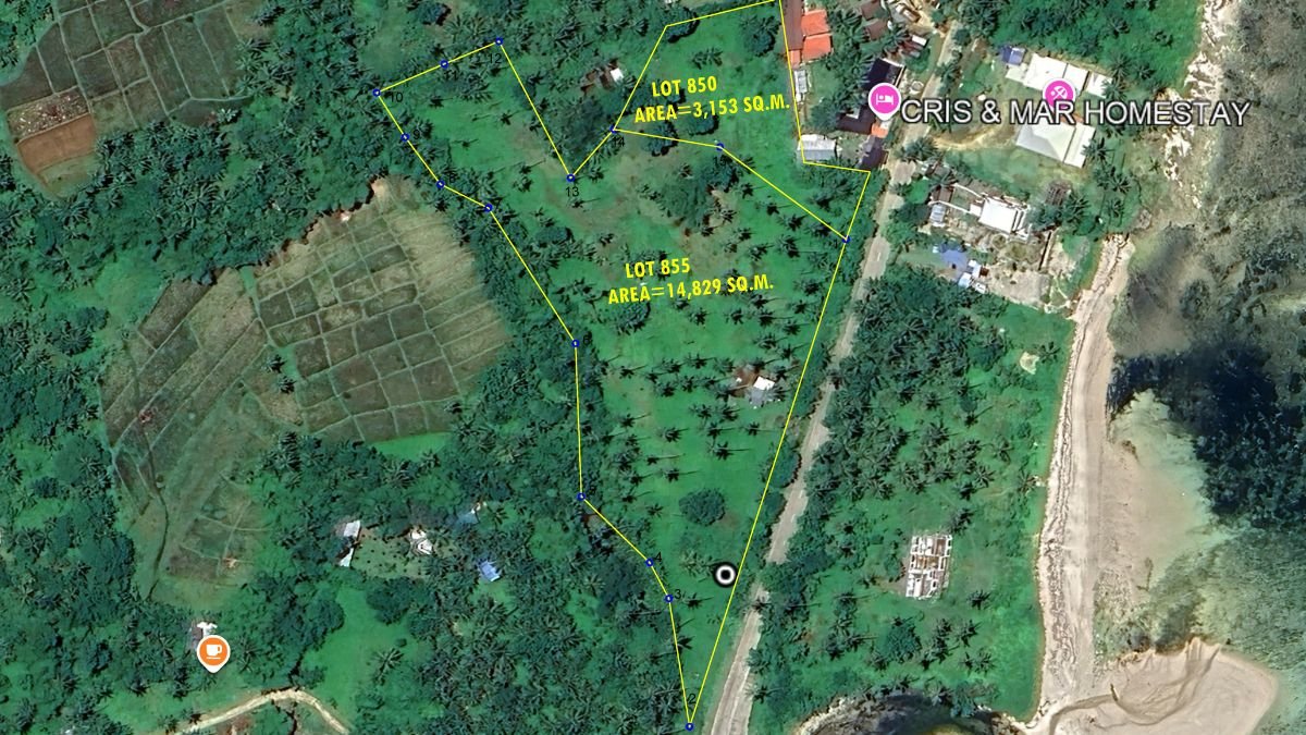 burgos grande dessarollo