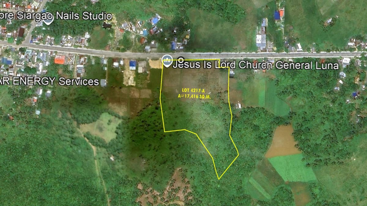 gl mango avenue highway consuelo