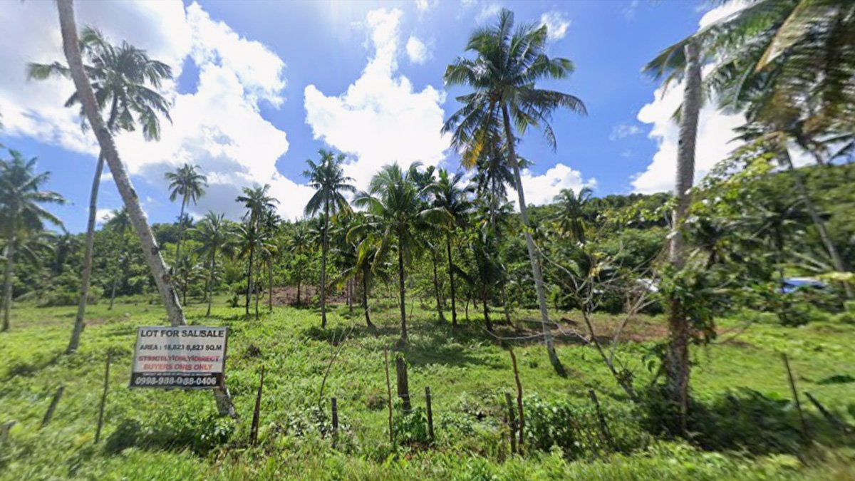 puregold osmena dapa cover